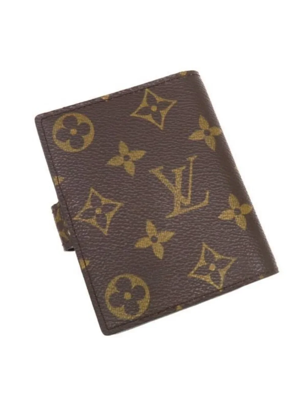 Louis Vuitton brand louis